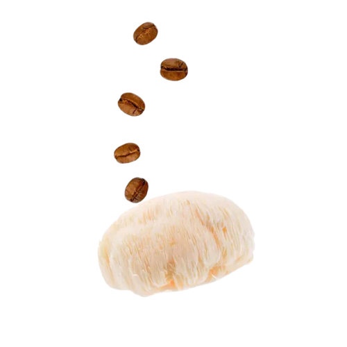 Caramel Mocha Dark Chocolate Bar: Brain Power + Collagen Boost